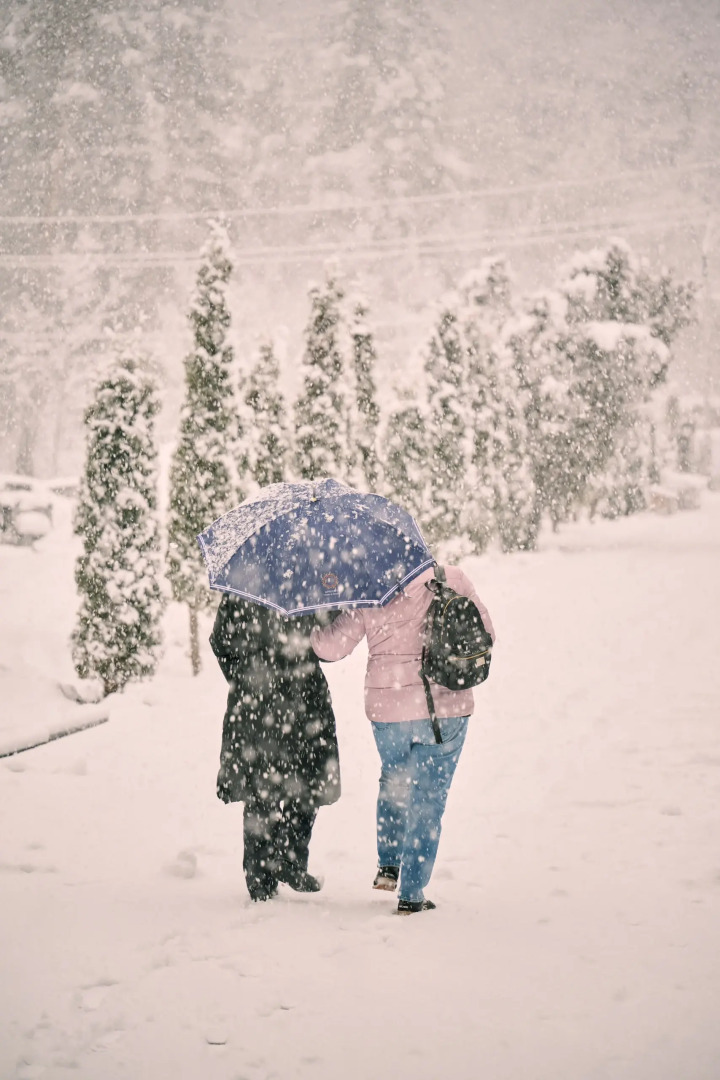 Отель Apricot  Aghveran Resort