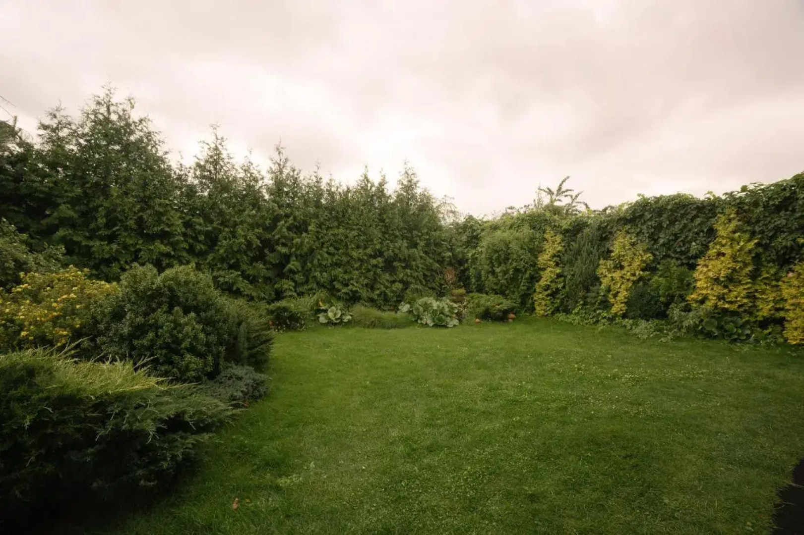 Апартаменты на Щедрина