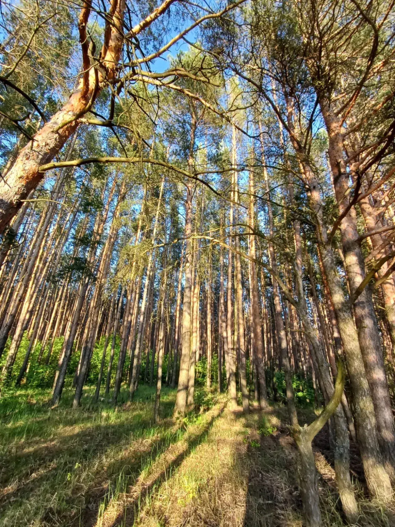 Частный дом Уютный