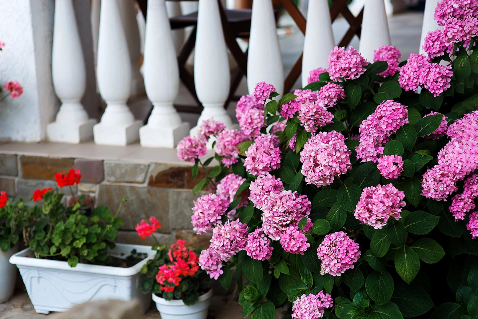 Гостевой Дом Морская Феерия