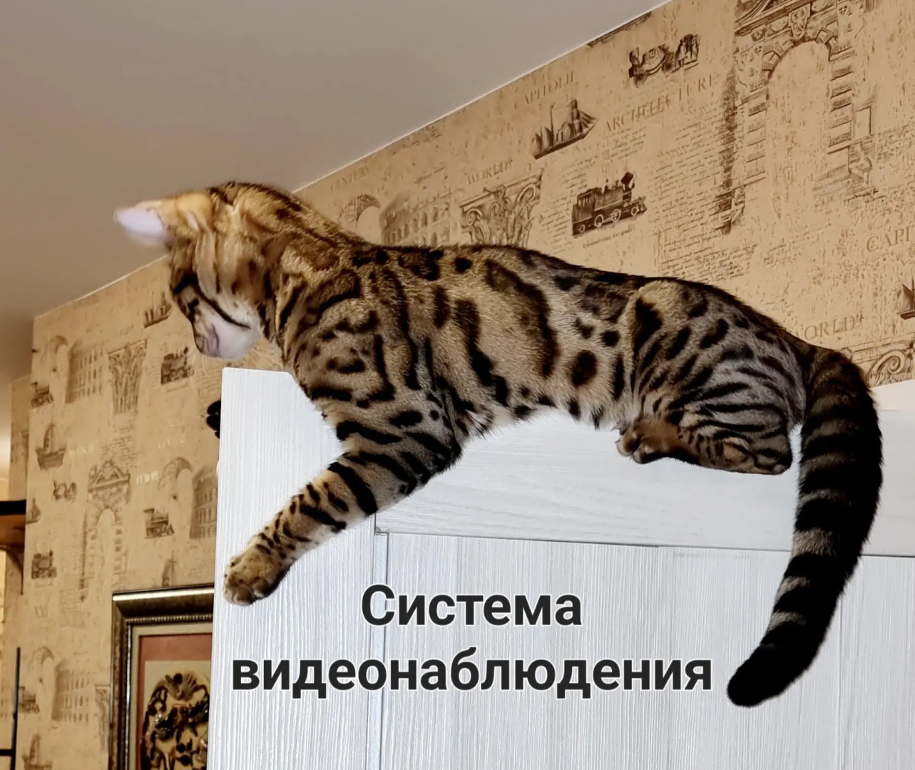 Апартаменты ПМЖ 11