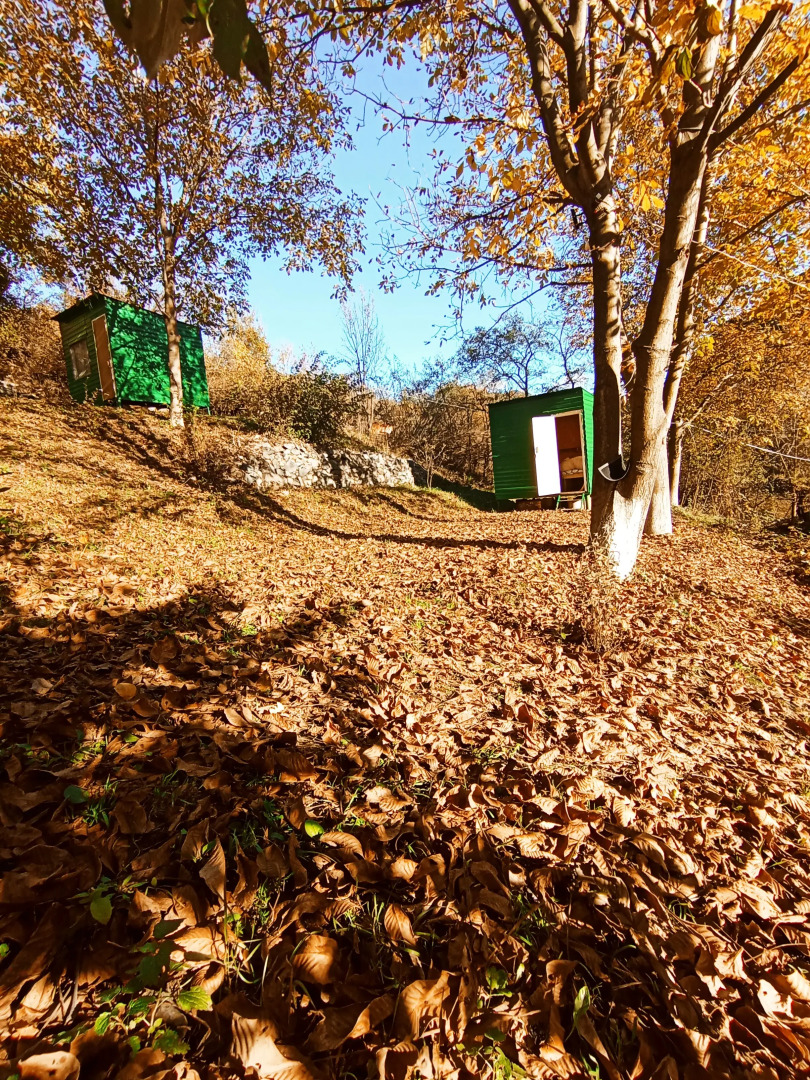 Кемпинг Three poplars by VL