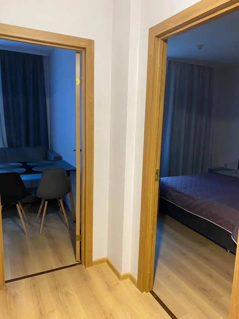 Квартира Просторная Квартира в 5 мин от НИИ Петрова/Гранова