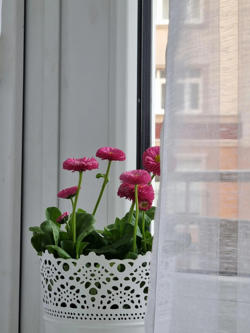 Апартаменты на Рабочей с видом на море