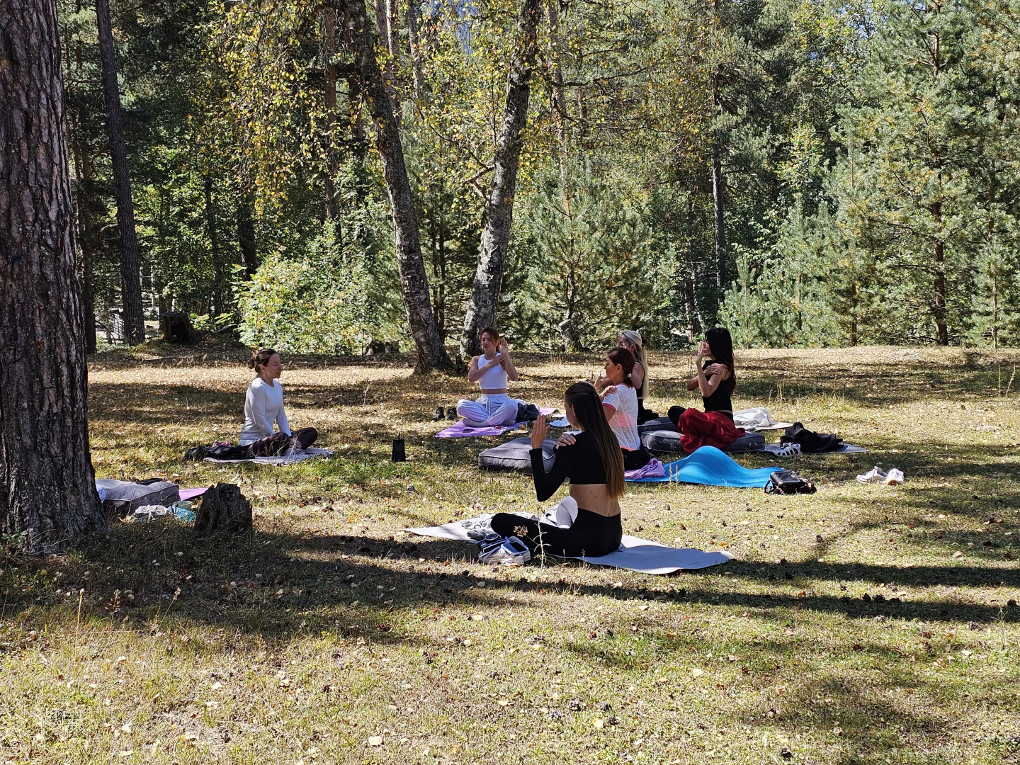 База отдыха Sherwood Arkhyz Chalet