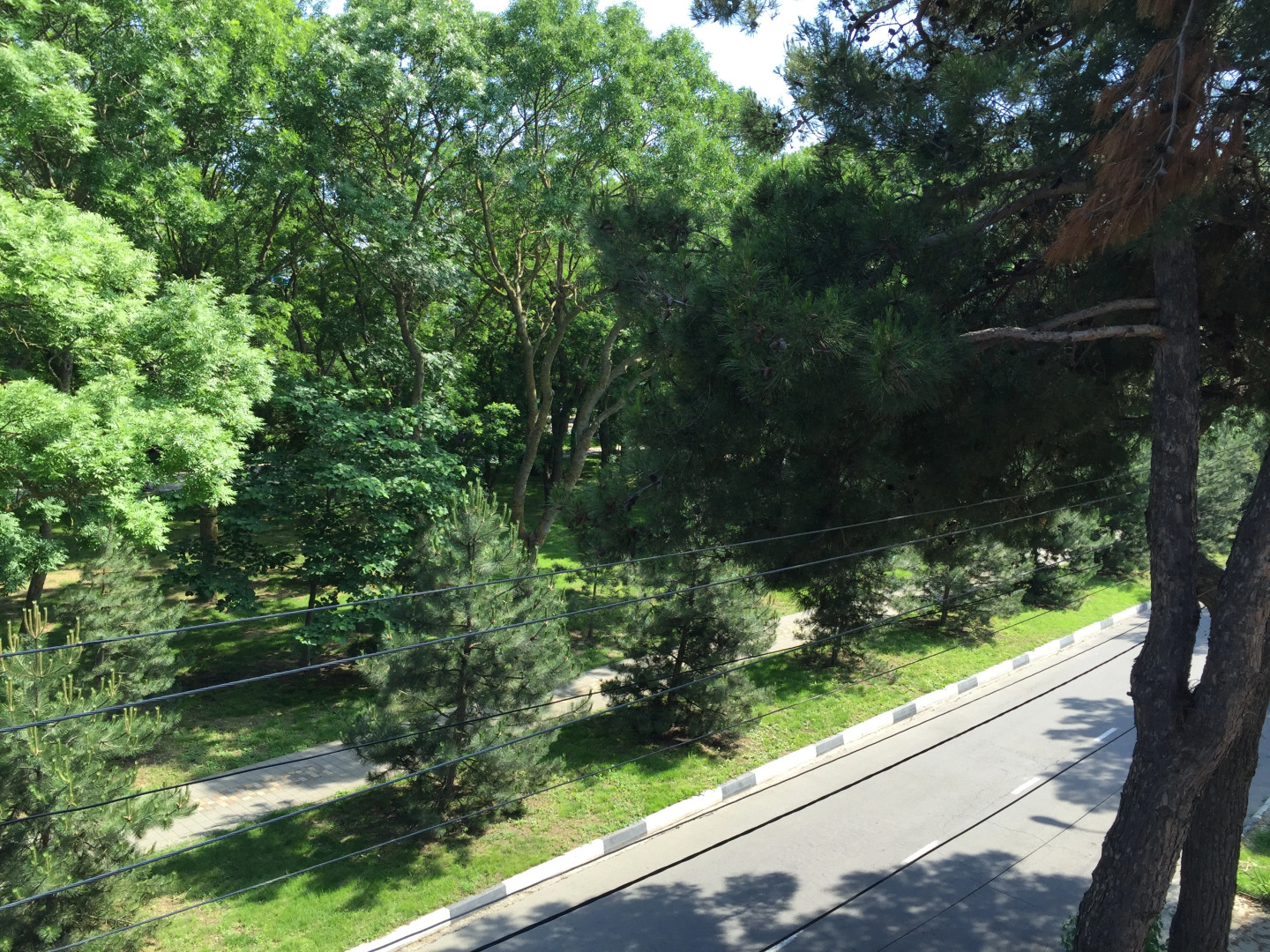 Гостевой дом Tango