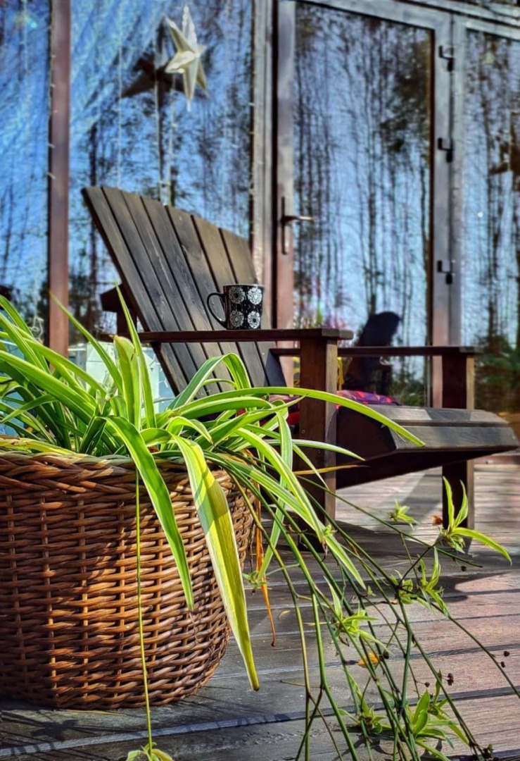 Частный Дом О, Дни в Лесу