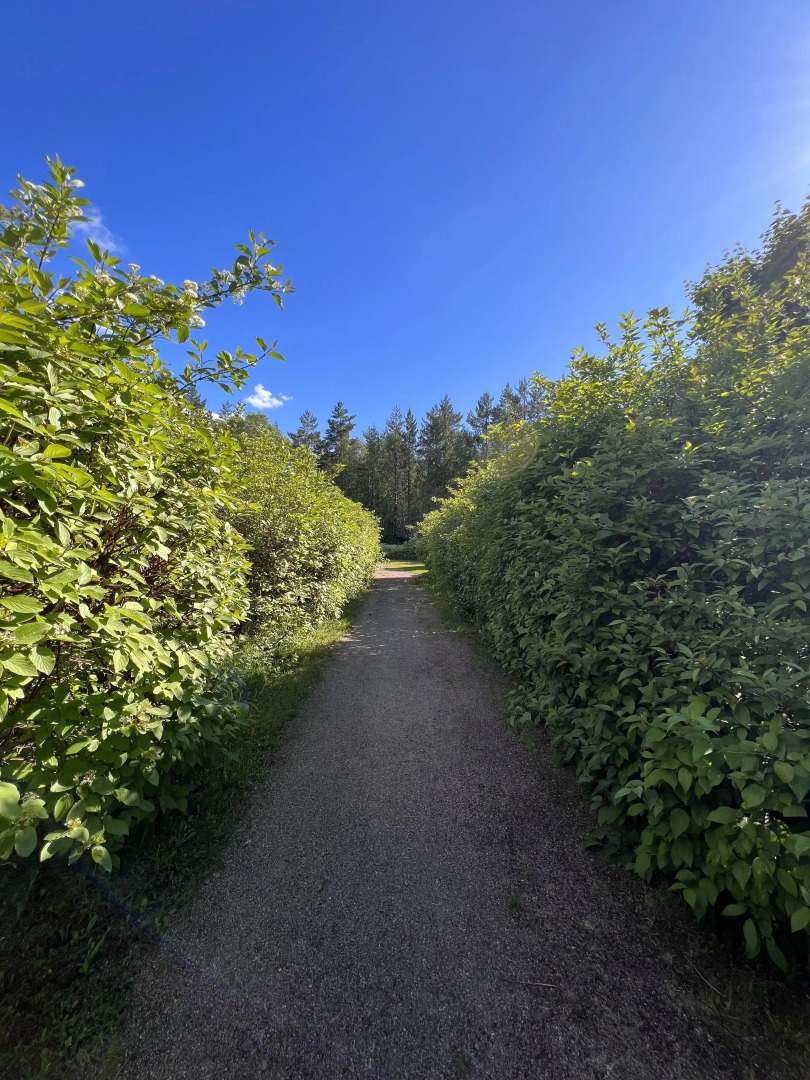 База отдыха Свободное Время