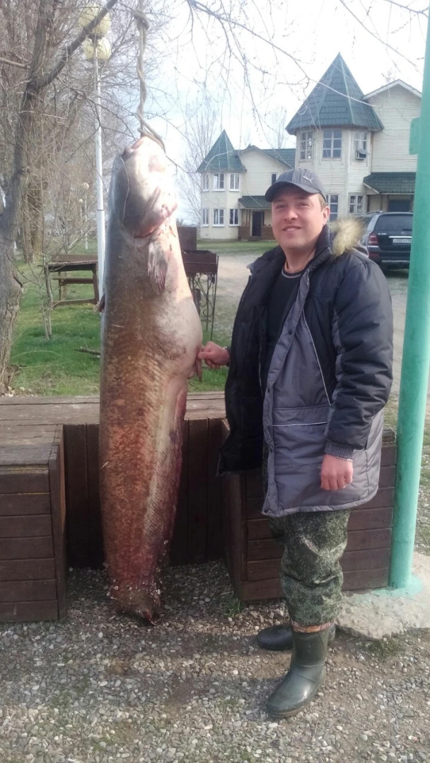 База Отдыха Найт Флайт