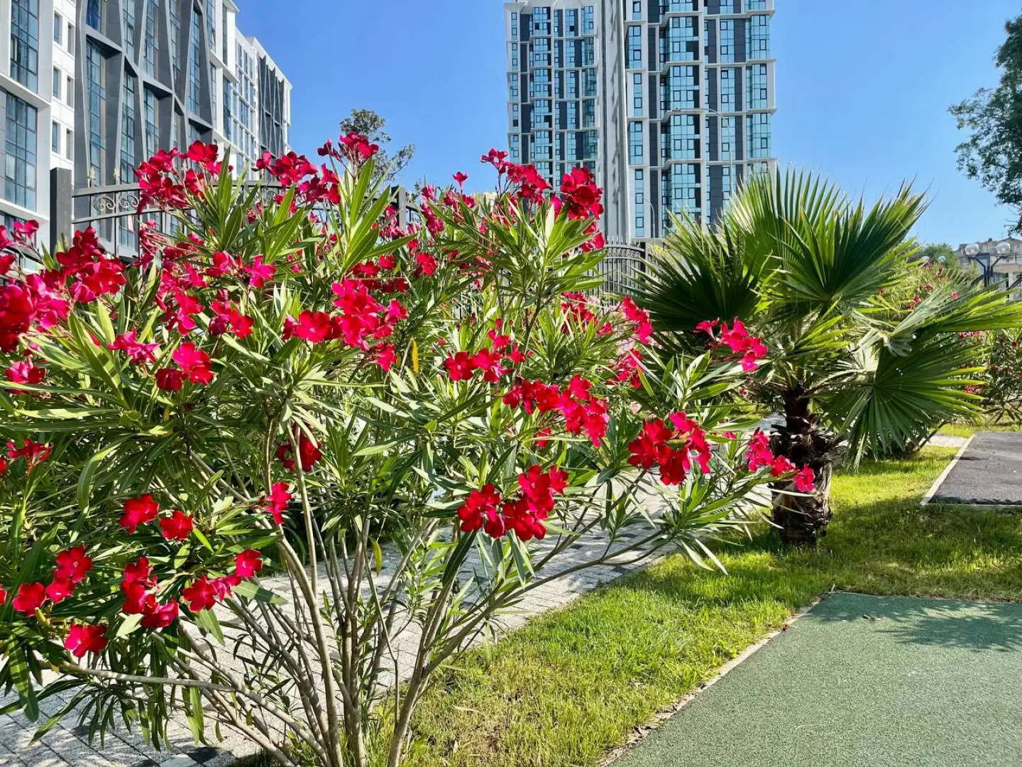 Апартаменты Sochi Park