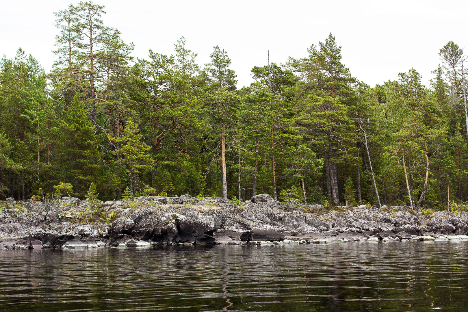 Гостевой Дом Онежская Горка 2