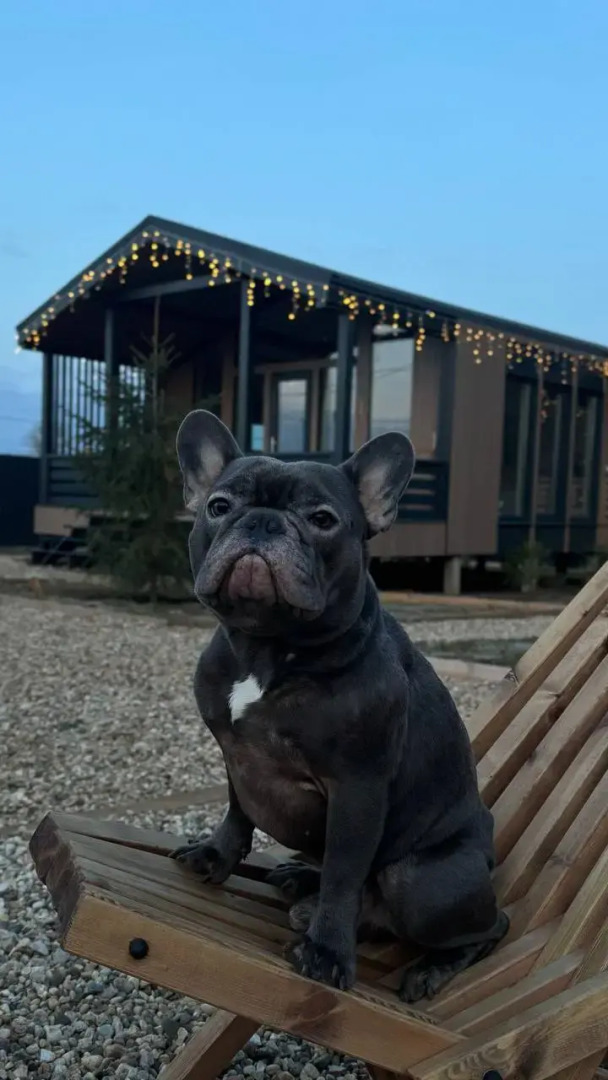 Частный дом Vremya Otdykha