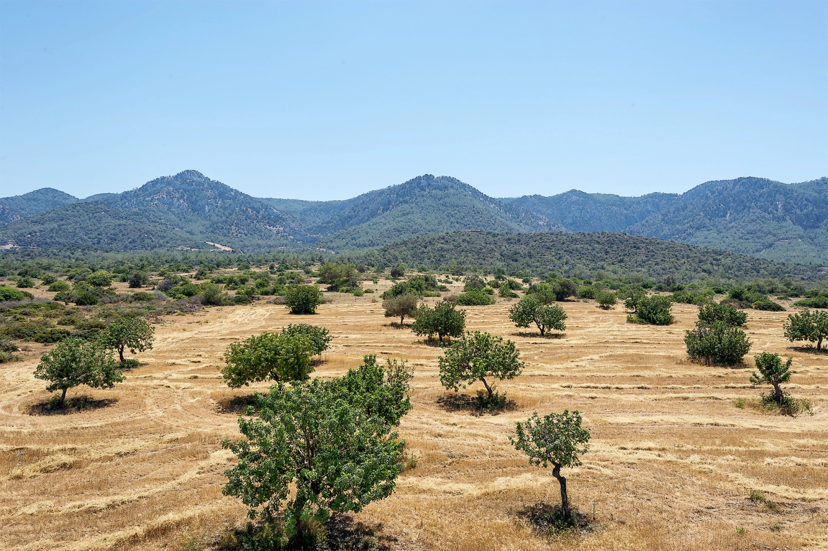 Апартаменты JOYA CYPRUS MELDA PENTHOUSE