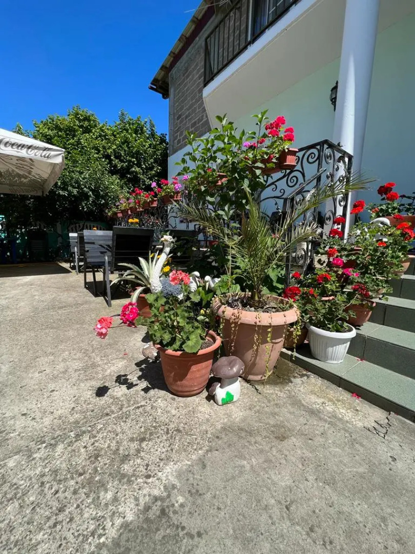 Гостевой Дом Angel