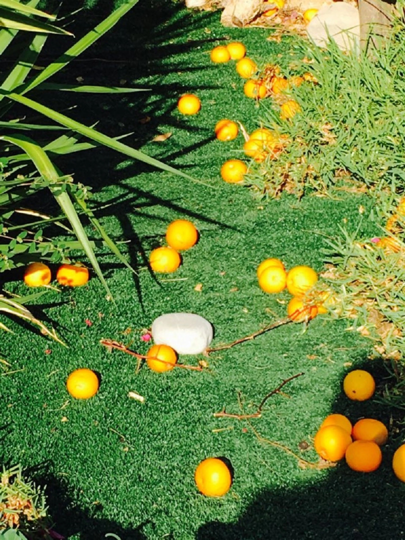 Апартаменты в Като Пафос