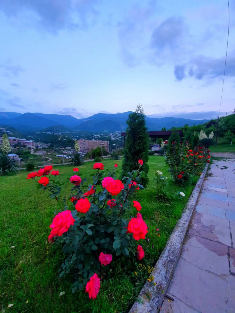 Гостевой дом Ijevan's Garden