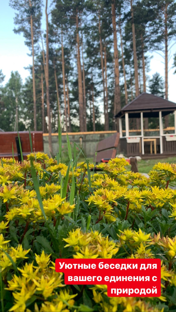 Мини-отель Подснежник