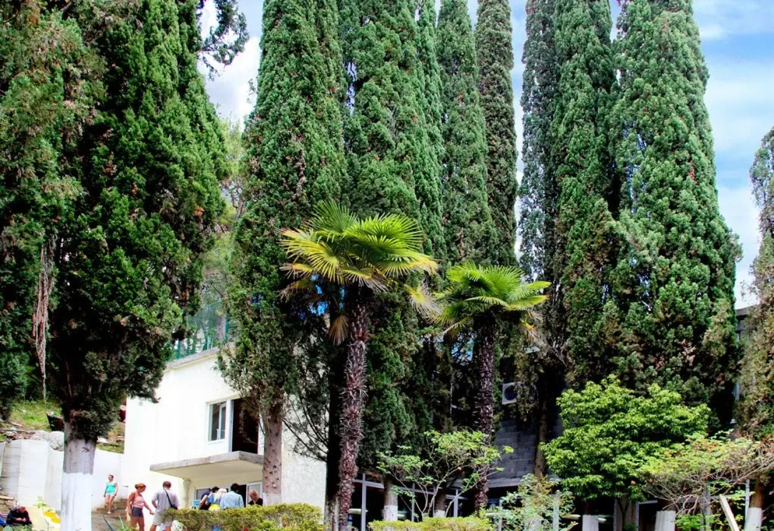 Солнечный летний пансионат