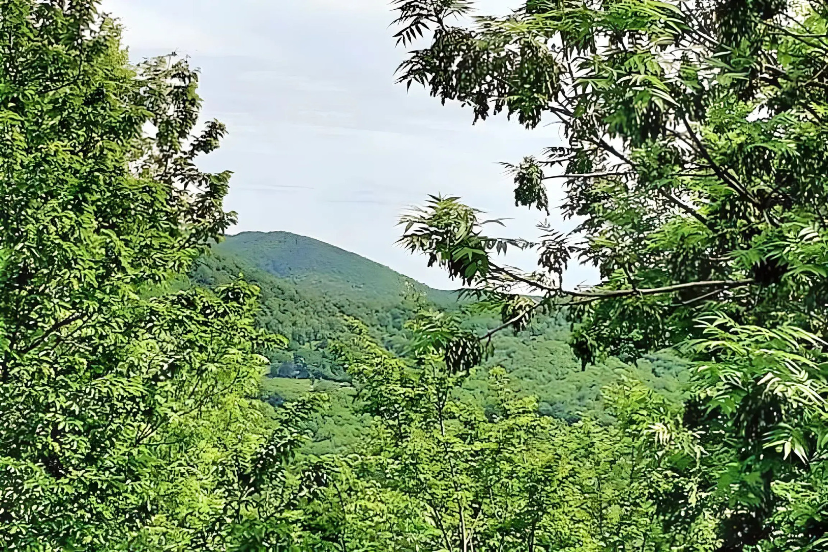 Гостевой Дом Бревенчатый