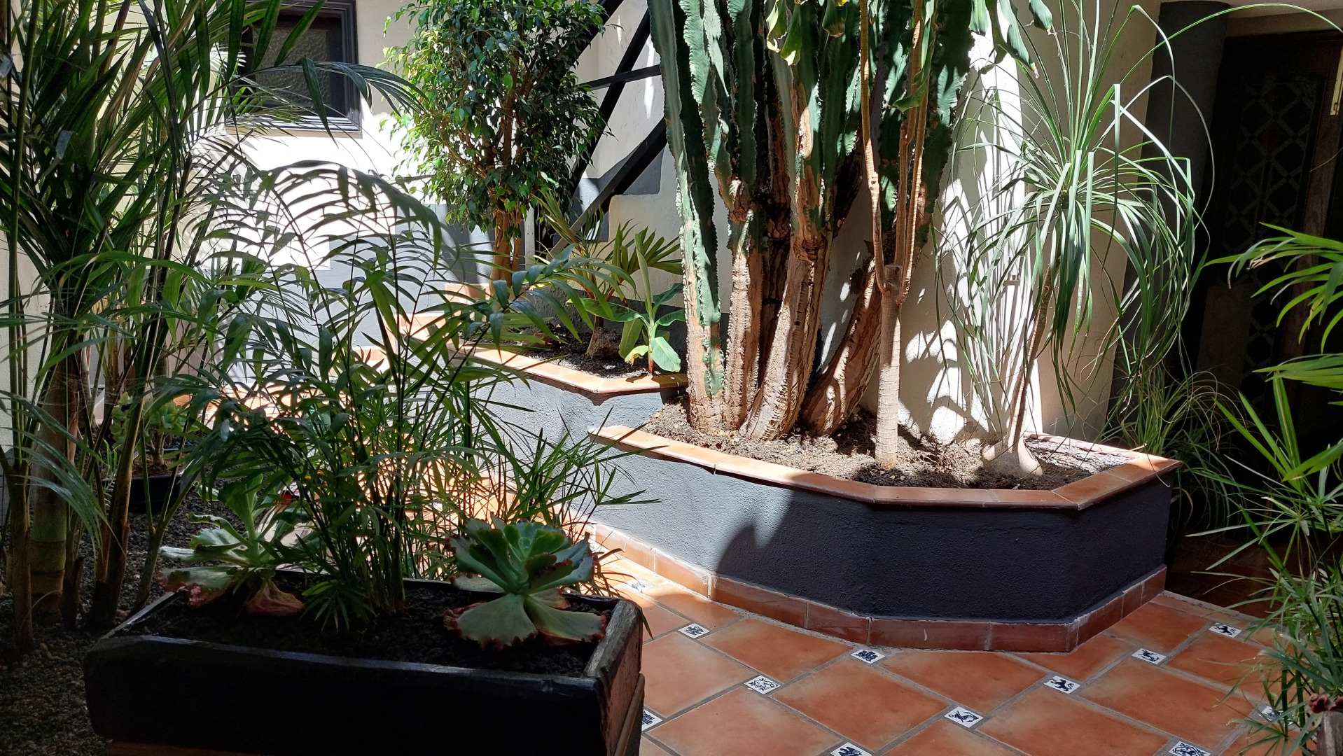 Апартаменты Apartamentos Monasterio de San Antonio Adults Only