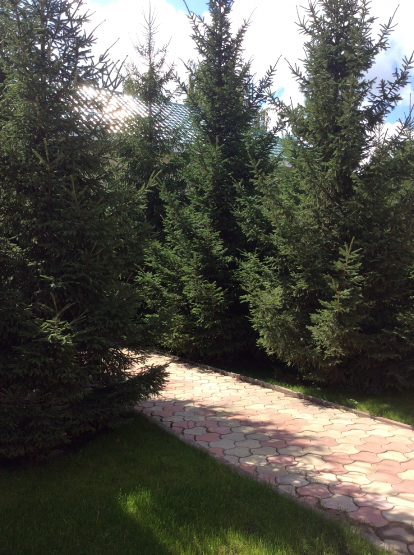 База отдыха Экопарк Раздолье