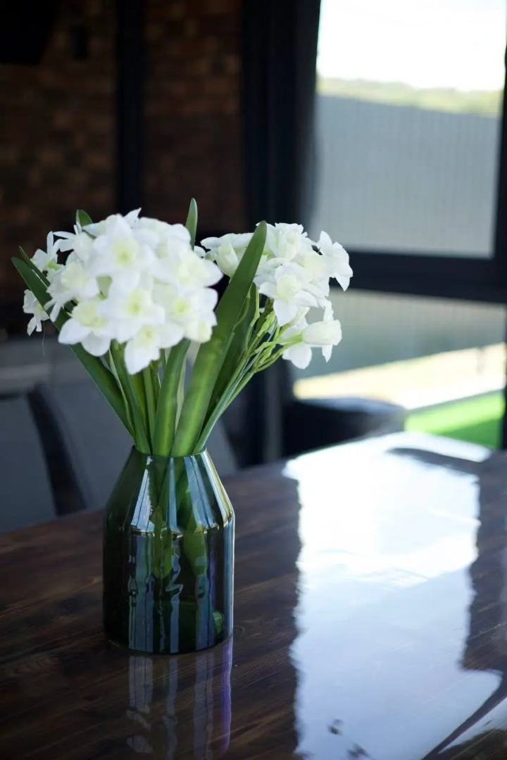 Частный дом Aviator