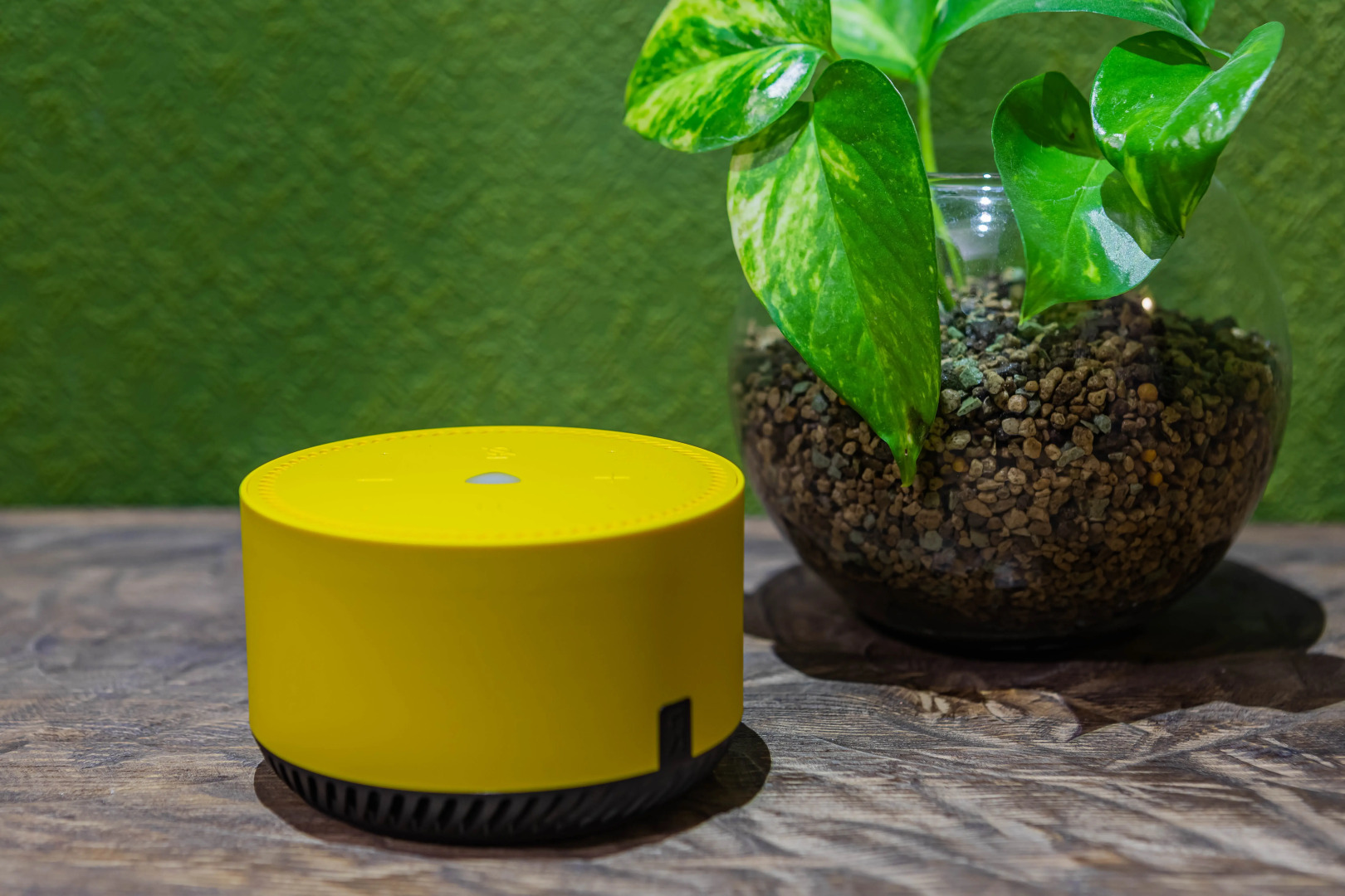 Отель Олива