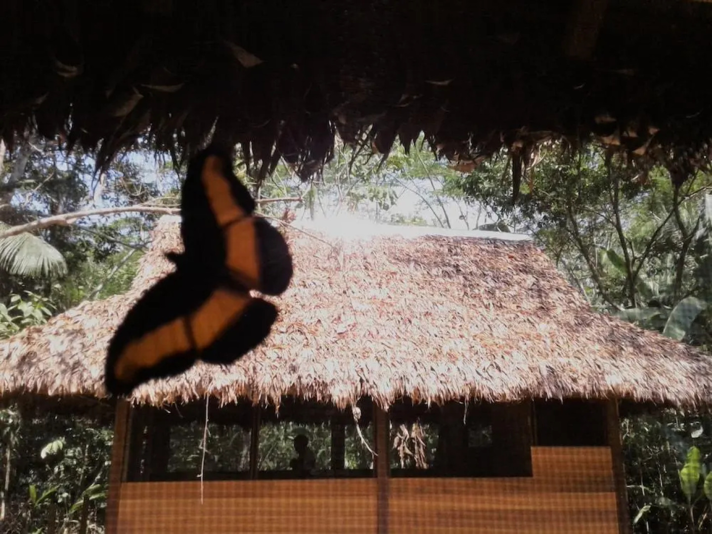 Гостевой Дом Ecolucerna Lodge