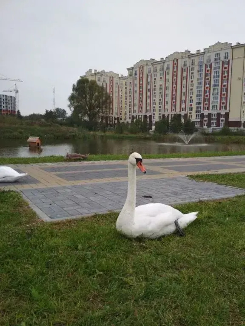 Апартаменты фисташковые на Солнечной улице 17