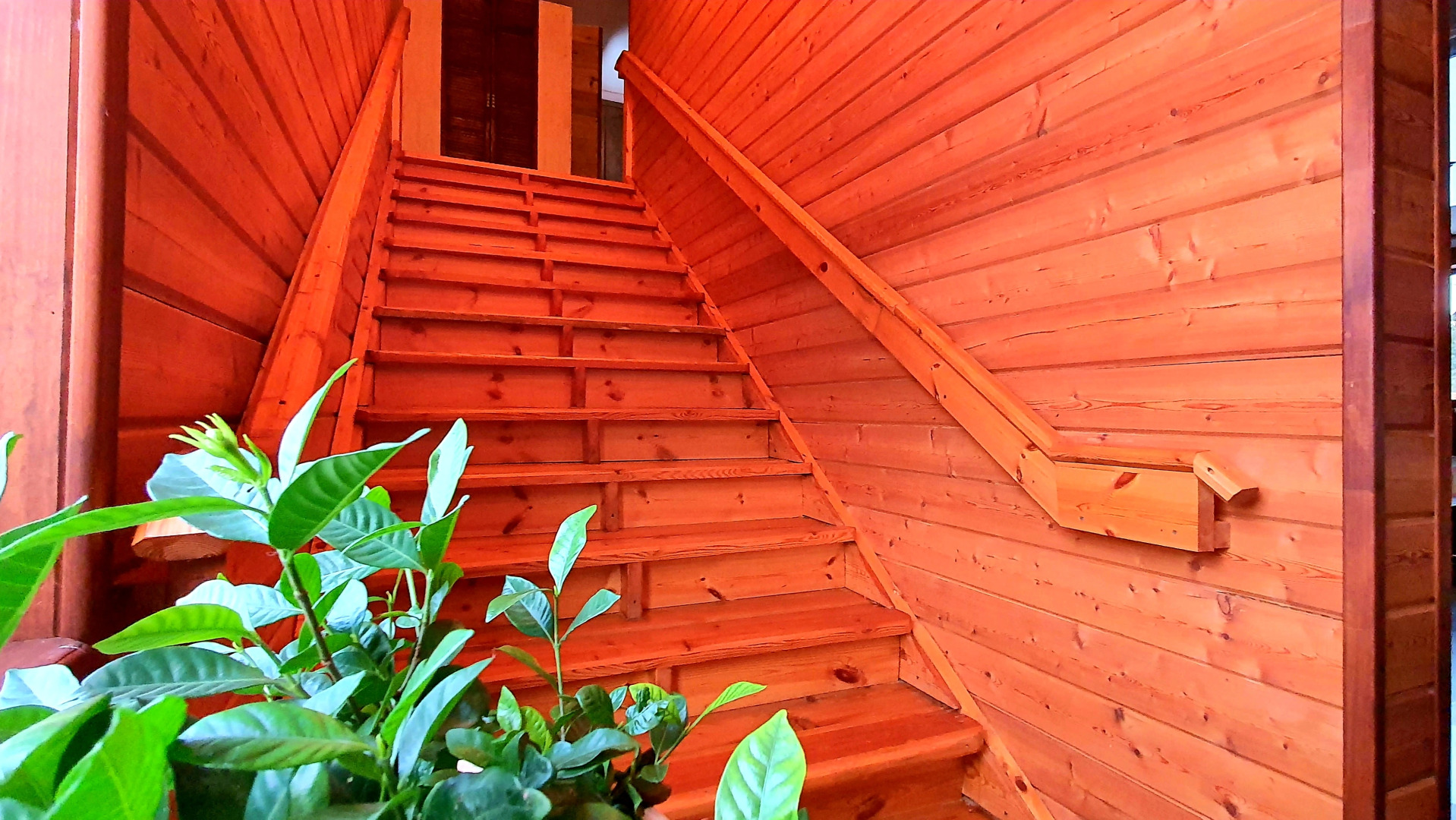 Gostevoy Dom Maori-Lukyyanovka