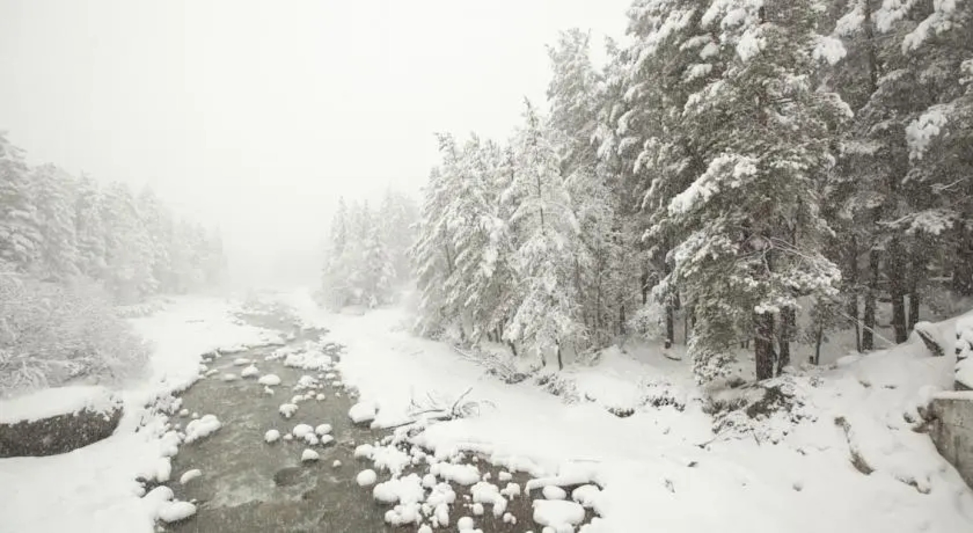 Отель Лагуна