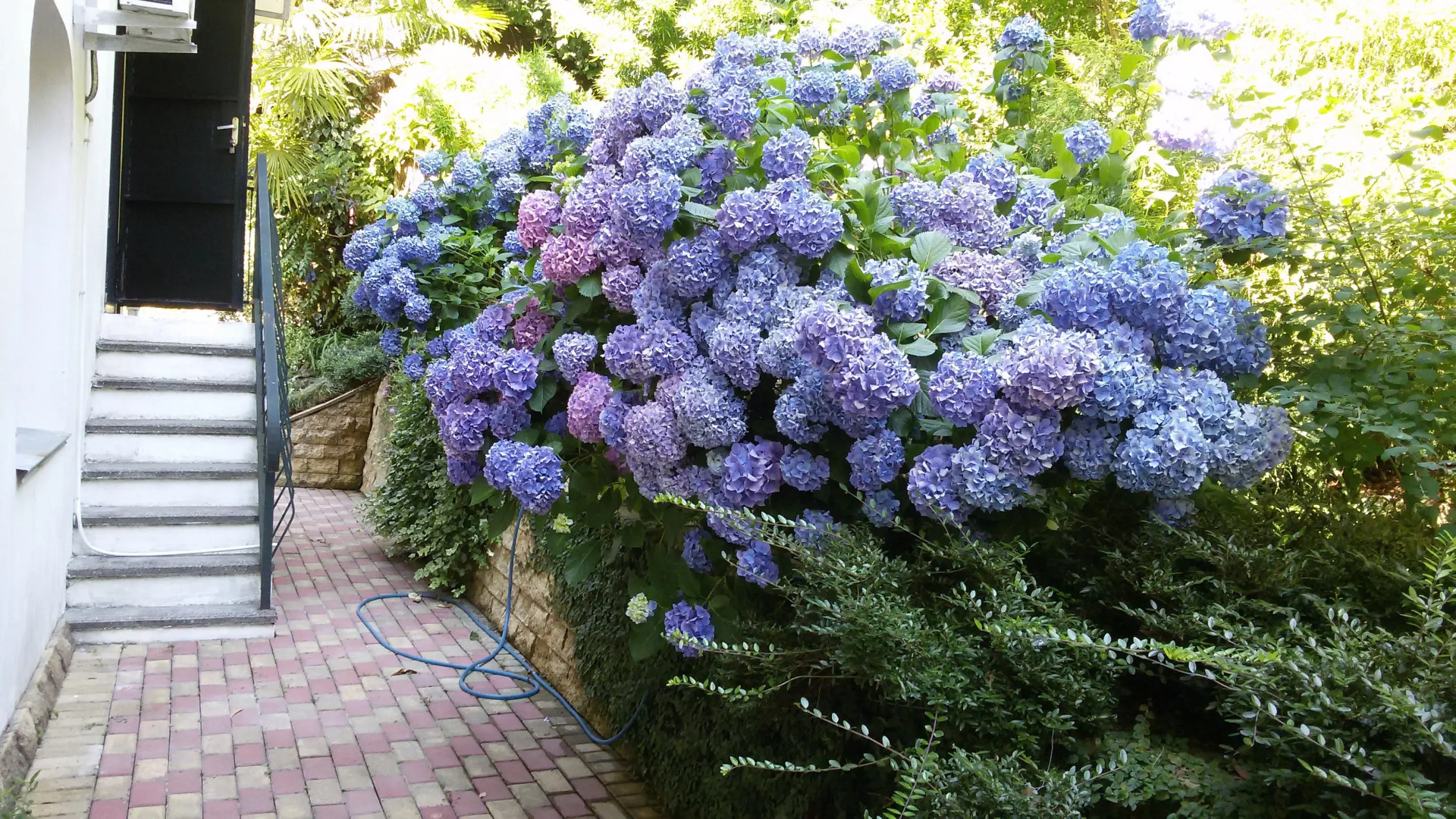 Гостевой дом Эвкалипт