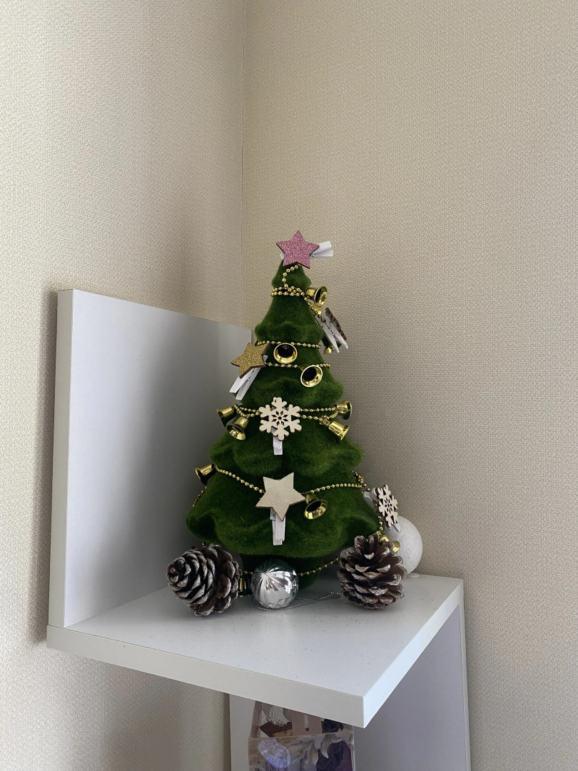 Квартира Маленькая студия у подножья горы Железная