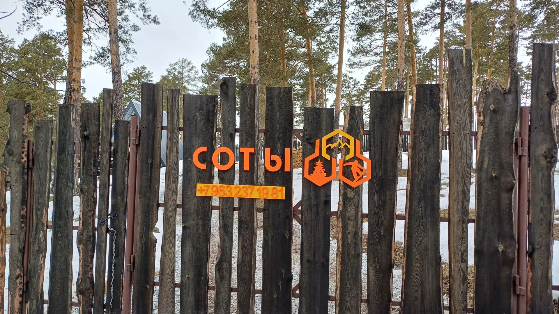 Глэмпинг Соты