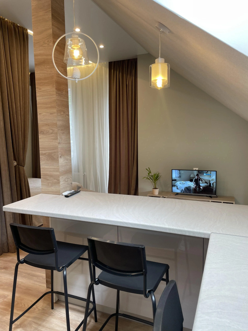 Апартаменты Студия Мельничный пруд