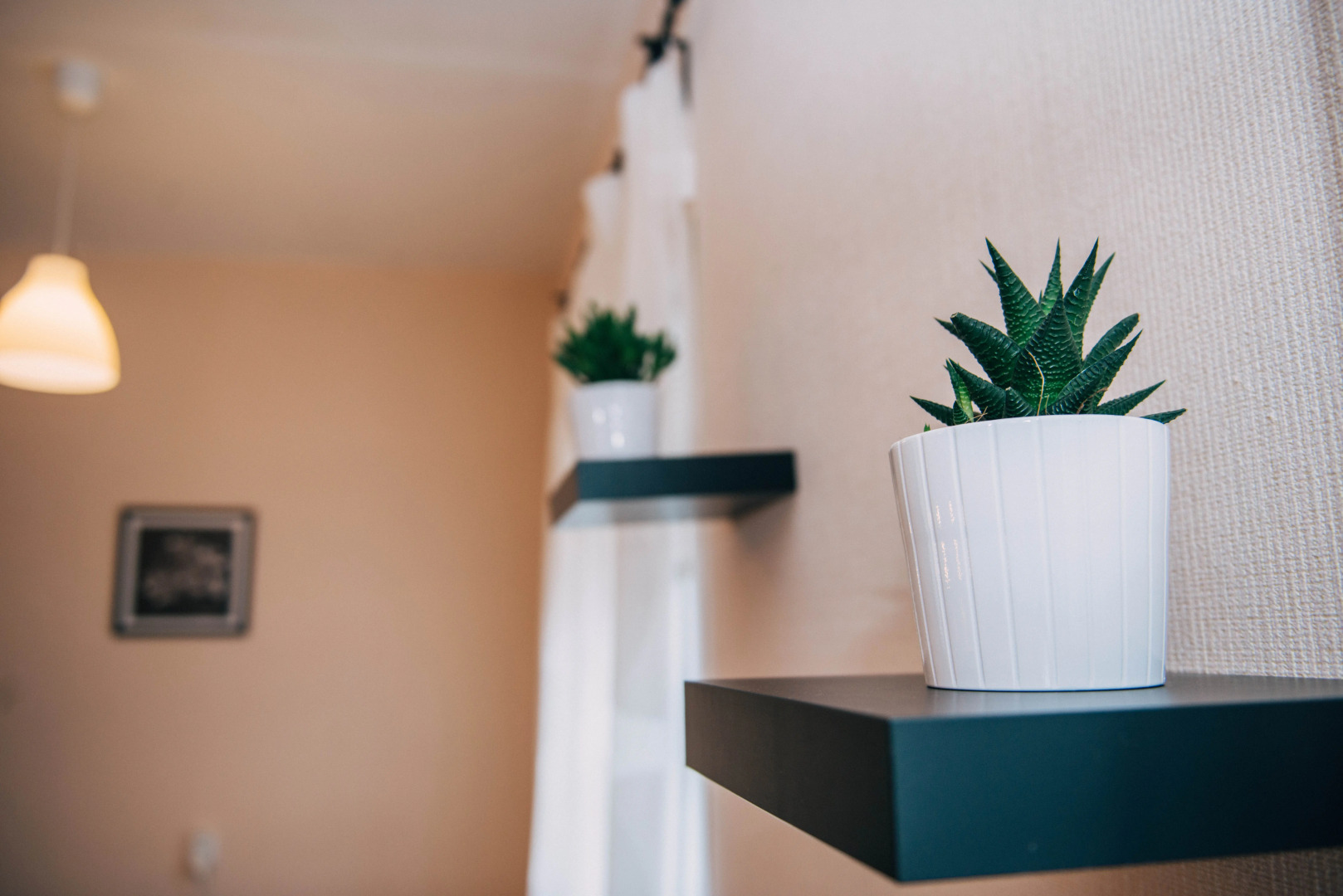 Отель Mr. Brown