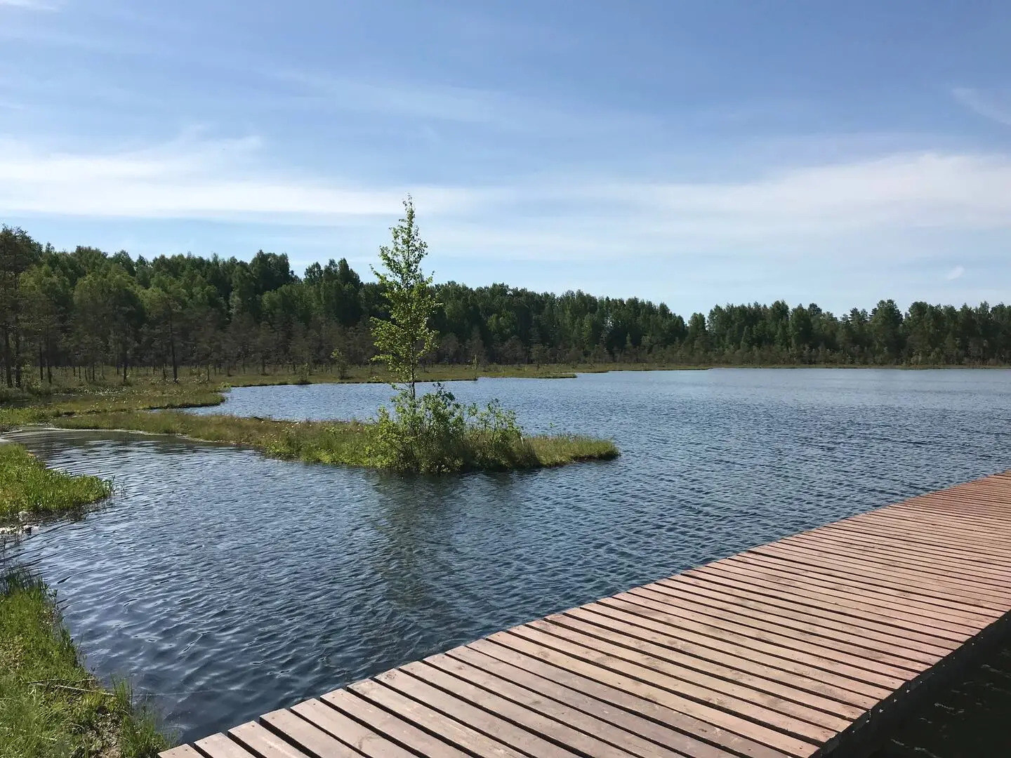 Дом с баней и камином