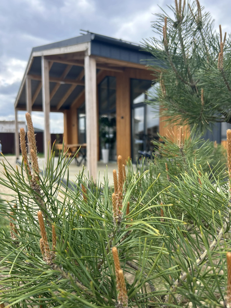 Гостевой дом Эко-Дом у Озера