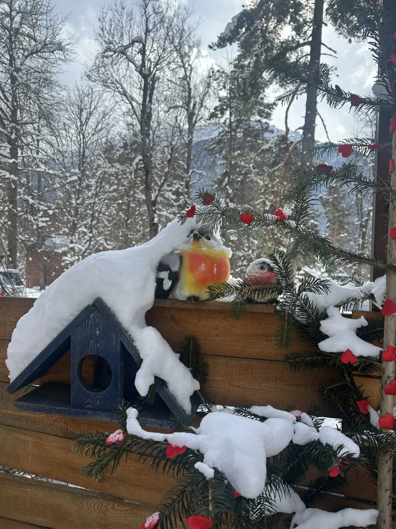 База отдыха Тайга-House