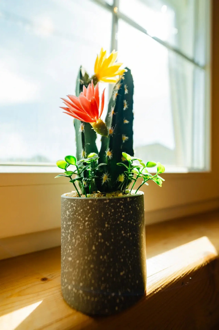 Частный дом на берегу озера Плещеево 57Б