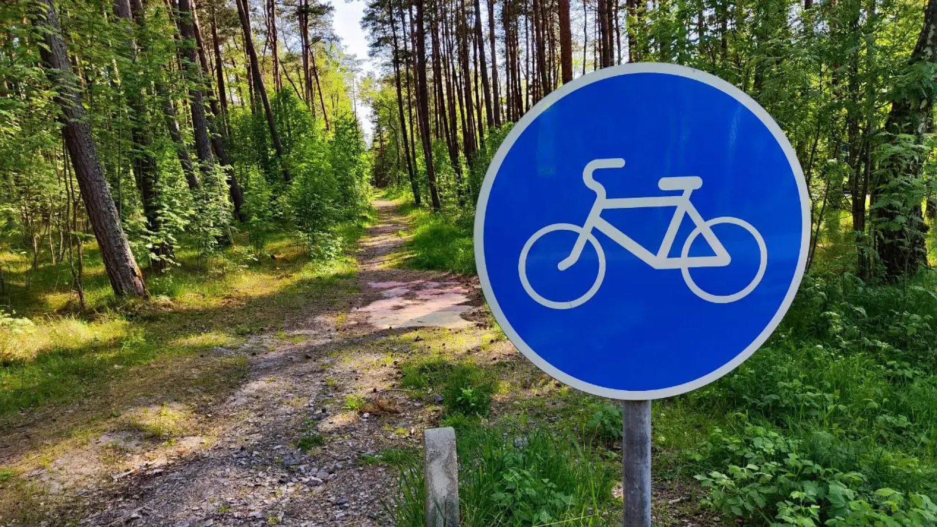 Апартаменты у моря на Косе