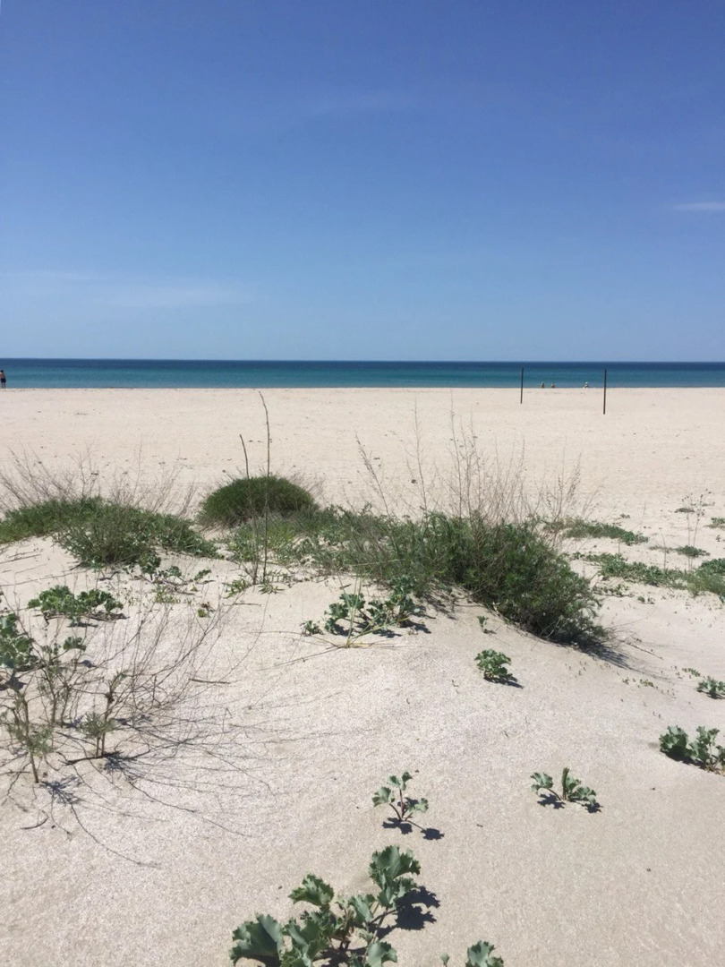 Апартаменты ZetPark