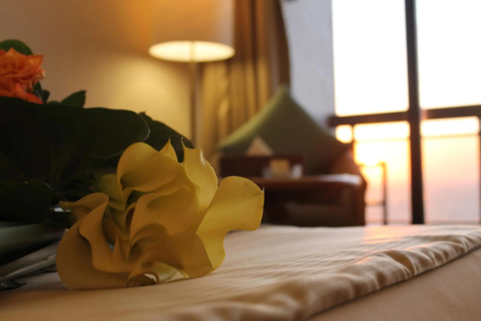 Отель Plaza Hotel Alexandria