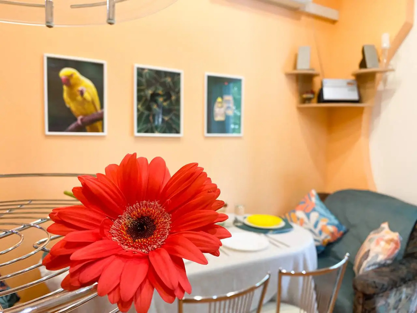 Апартаменты Счастье жить в центре Севастополя