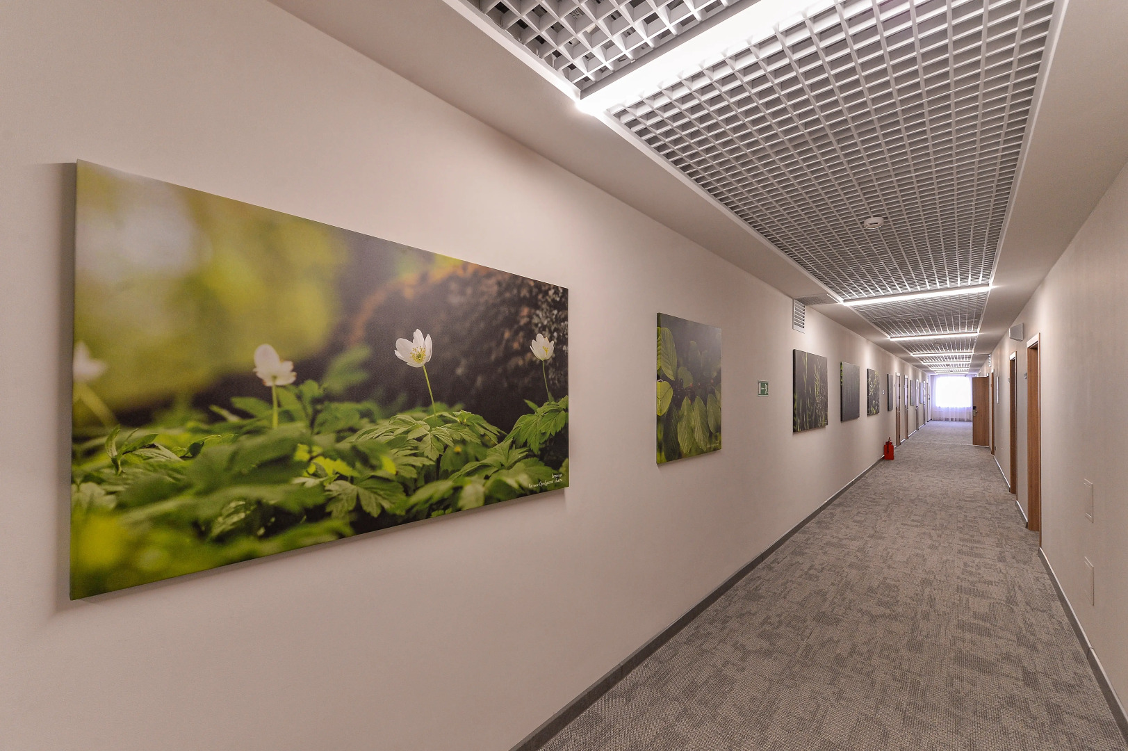 Отель Бизнес Отель ЯР