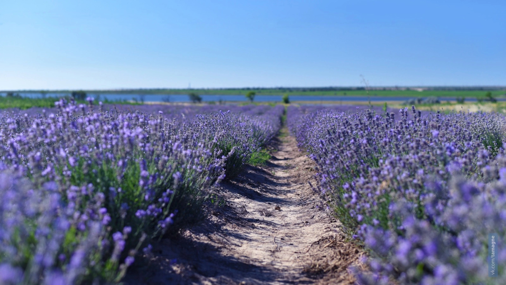 Гостевой дом Ореховый рай