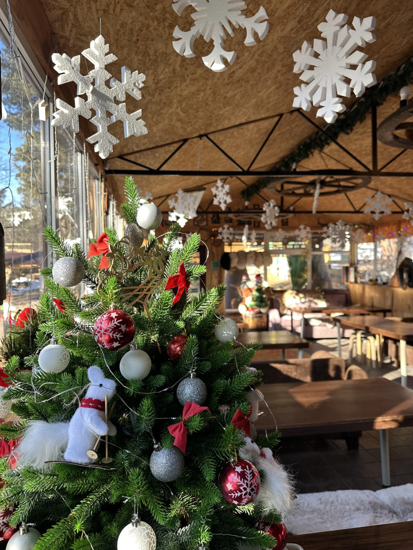 База отдыха Тайга-House