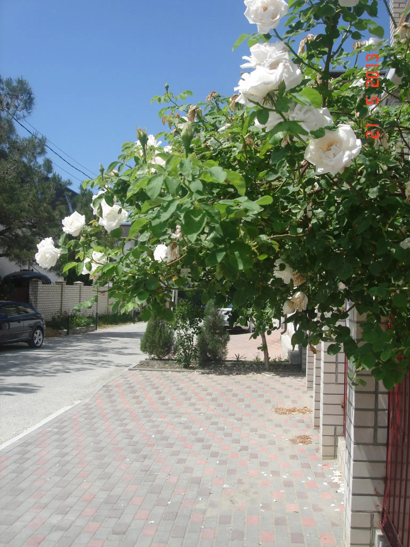 Гостевой дом Вера