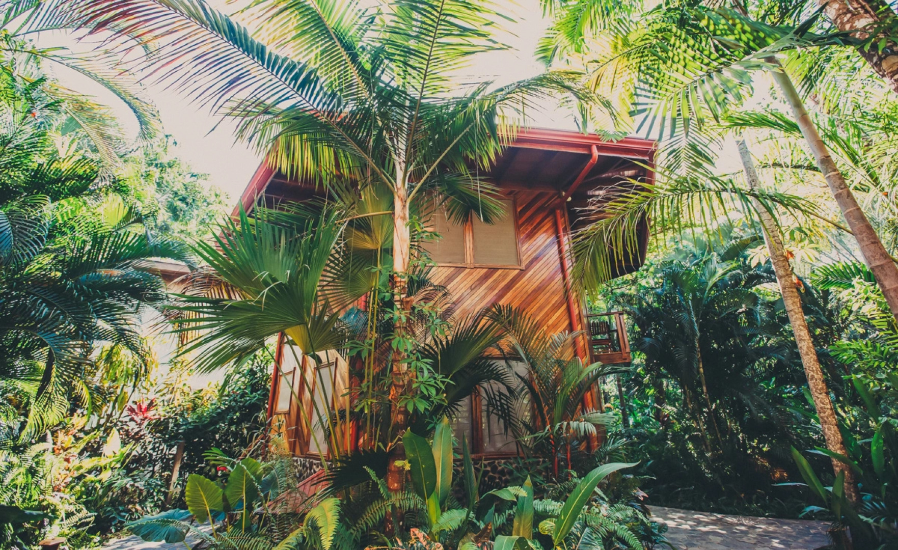 Отель Tambor Tropical Beach Resort