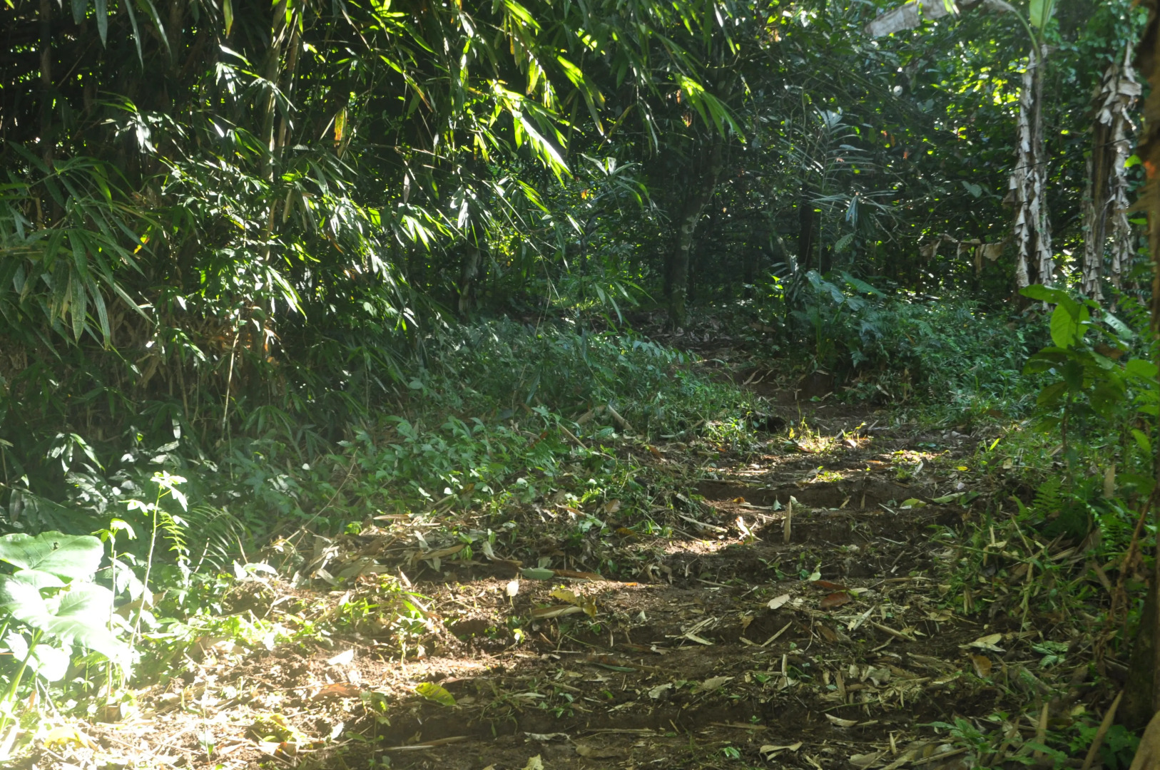 Хостел Tepi Sawah lodge